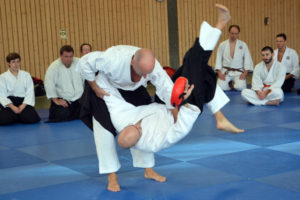 November Lehrgang Aikido 2019