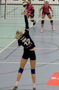 Volleyballteam Hamburg