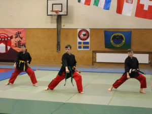 Ju-Jutsu Showteam