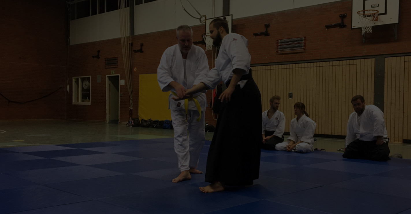 slider-aikido-kurs