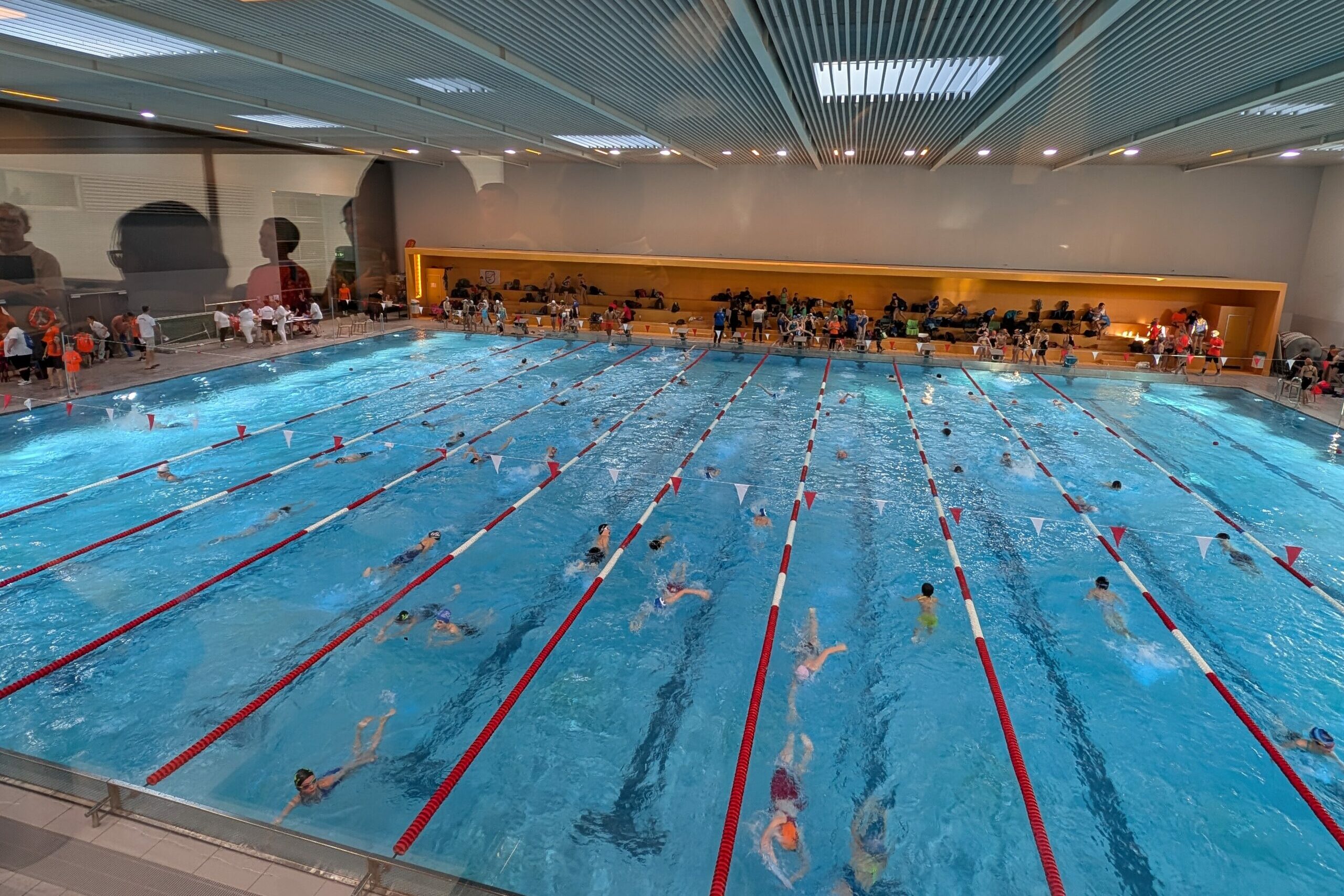 Ein Foto, das aus der Vogelperspektive das große Schwimmbecken beim Neujahrsschwimmfest zeigt, zahlreiche Schwimmer sind im Wasser und bereiten sich auf den Wettkampf vor.