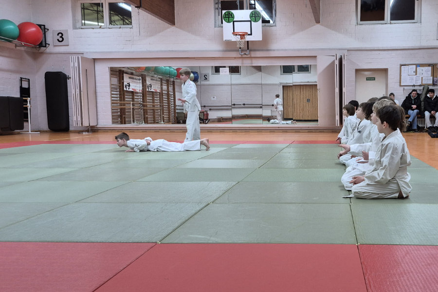 Ein Foto von zwei Prüflingen, die eine Übung auf der Matte zeigen; einer der beiden liegt dabei am Boden, während der andere über ihm steht.