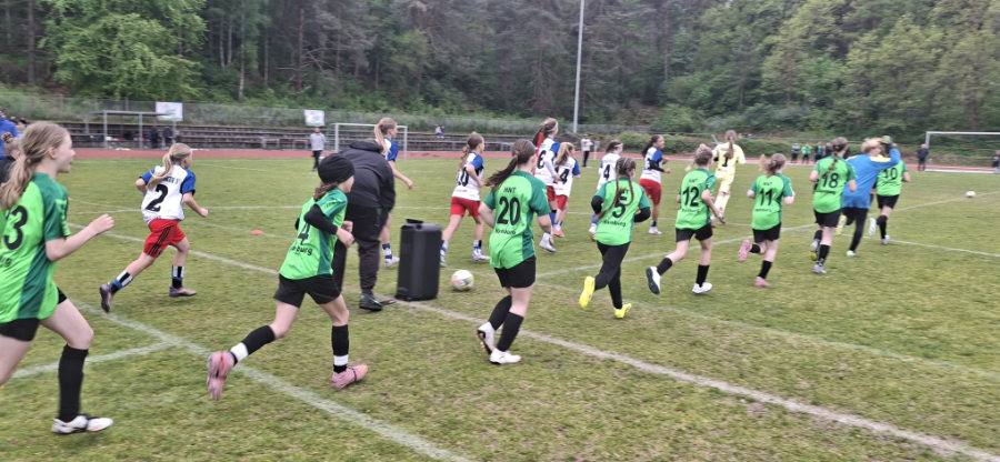 Ein Foto, auf dem die beiden Teams nebeneinander auf das Feld laufen.