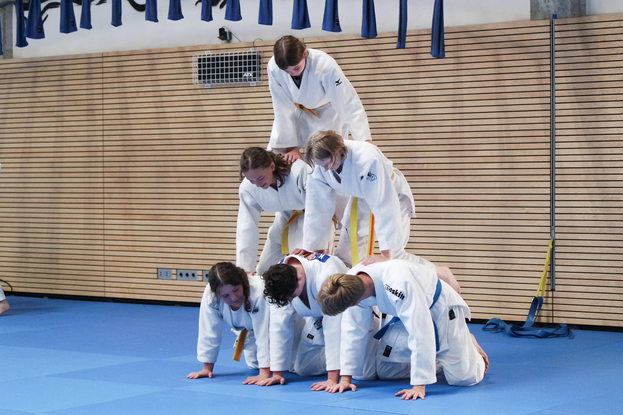 Jugend Kata Quest 2026 Ein Foto von der Jugend Kata Quest 2026.