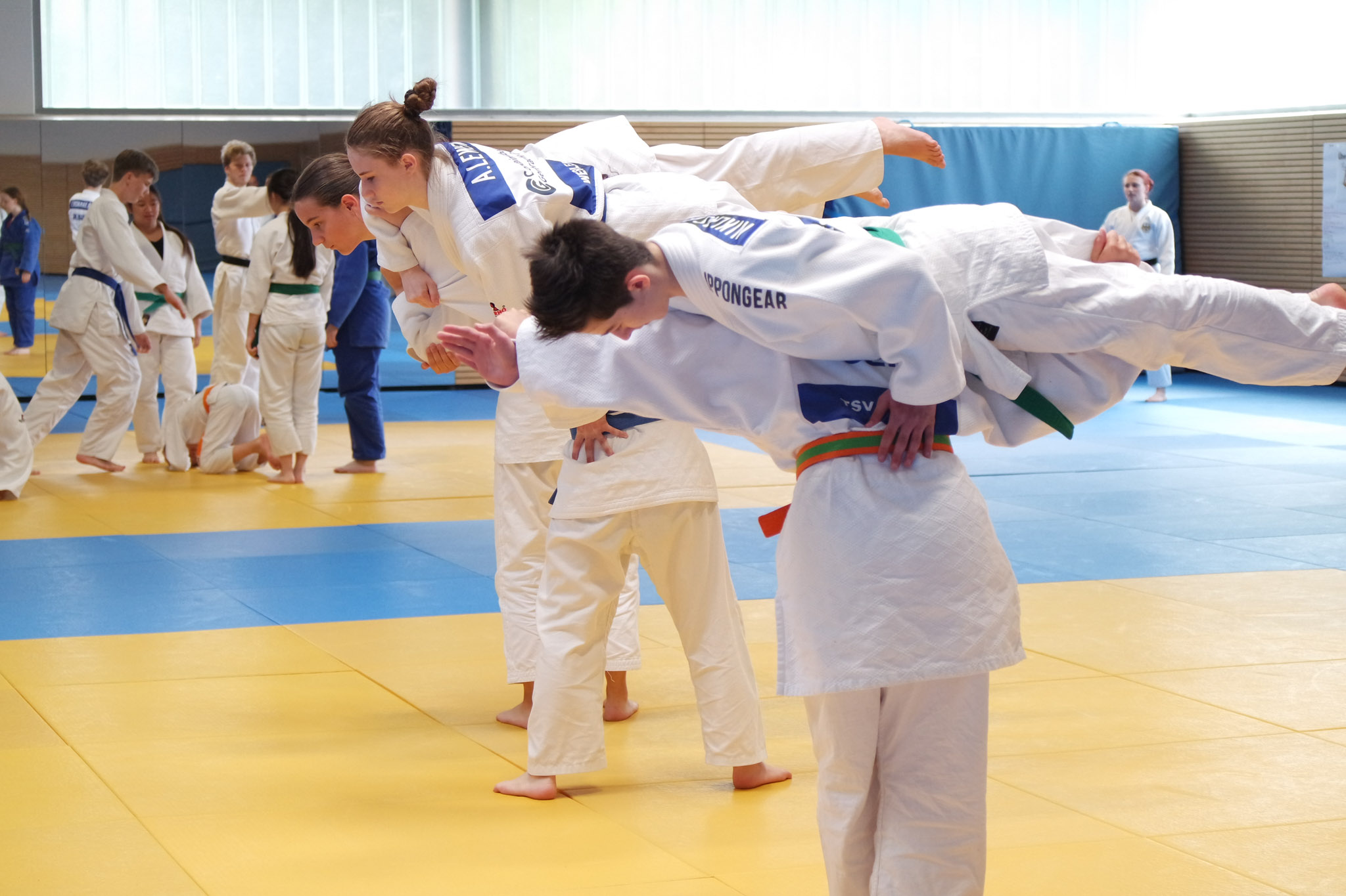 Jugend Kata Quest 2026 Ein Foto von der Jugend Kata Quest 2026.