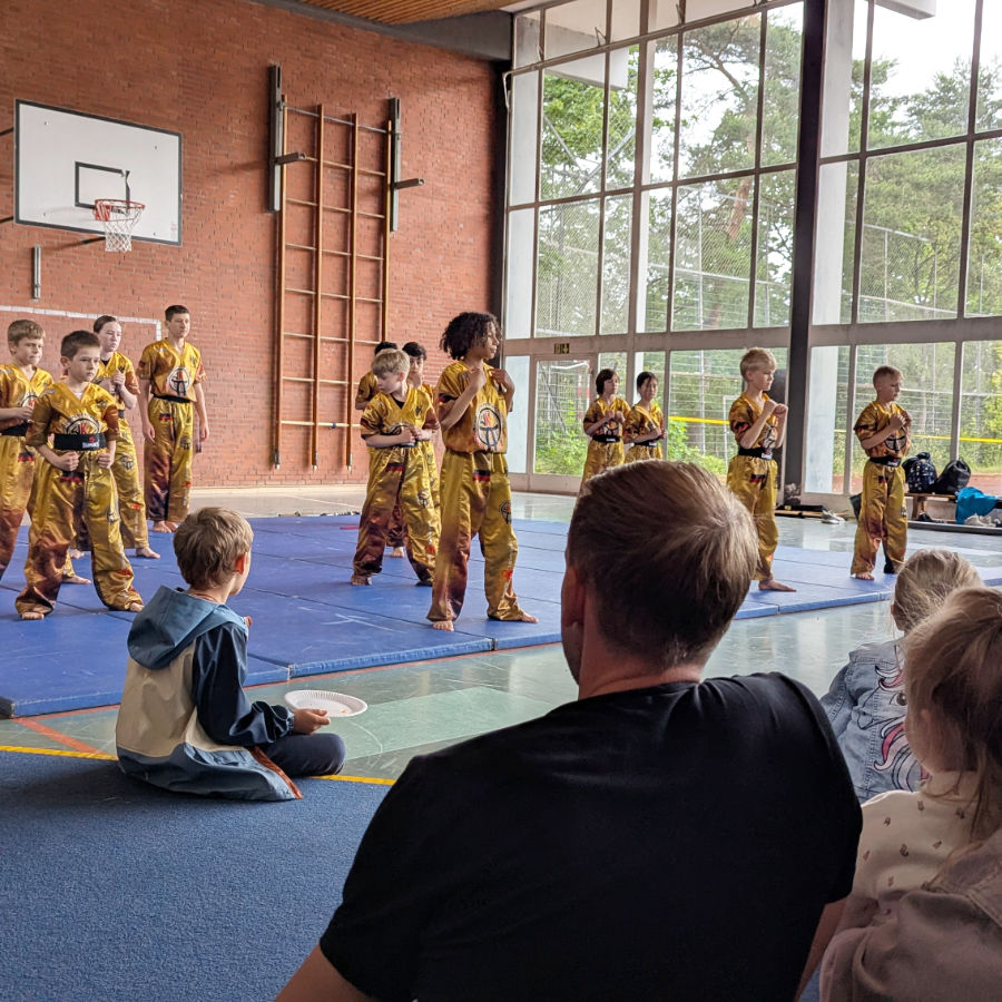Ein Foto vom HNT Ju-Jutsu-Showteam bei einem Auftritt in der Sporthalle, drumherum sitzen Zuschauer.